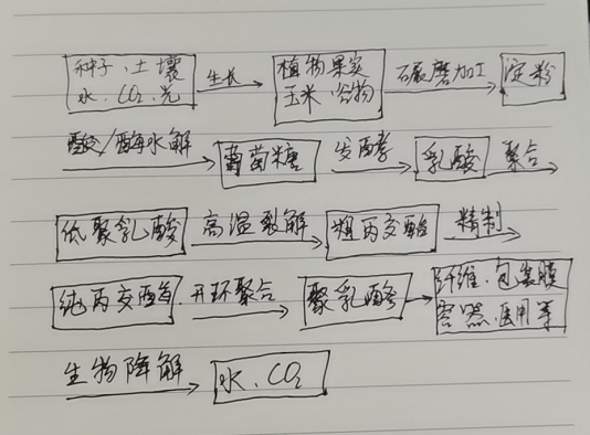 生物降解袋中的PLA是如何制得的?(圖1)
