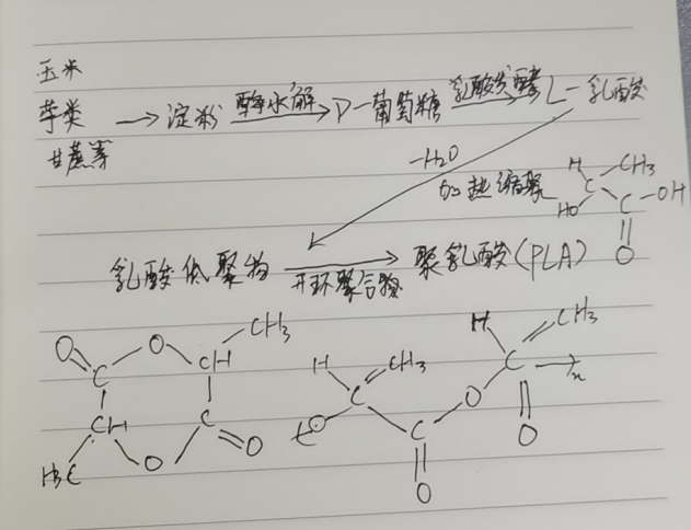 生物降解袋中的PLA是如何制得的?(圖2)